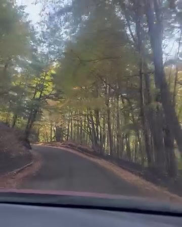 Cielo y hojas de otoño