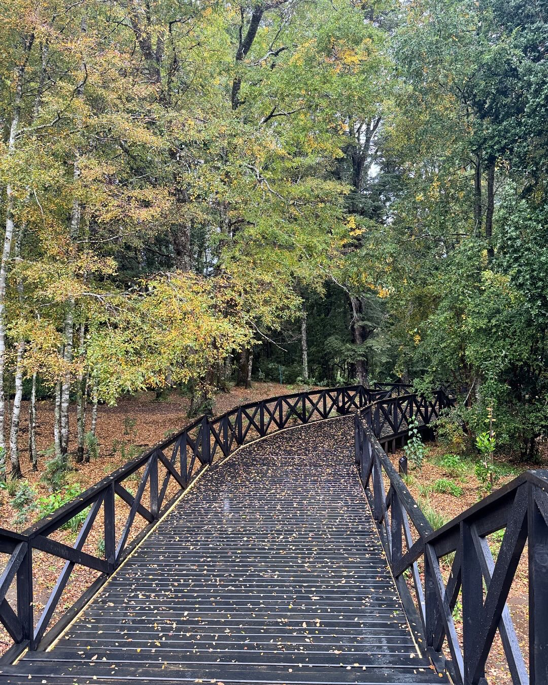 Día de termas en Pucón