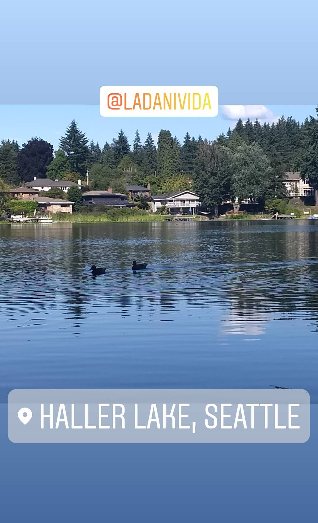 Stories from jun 2019