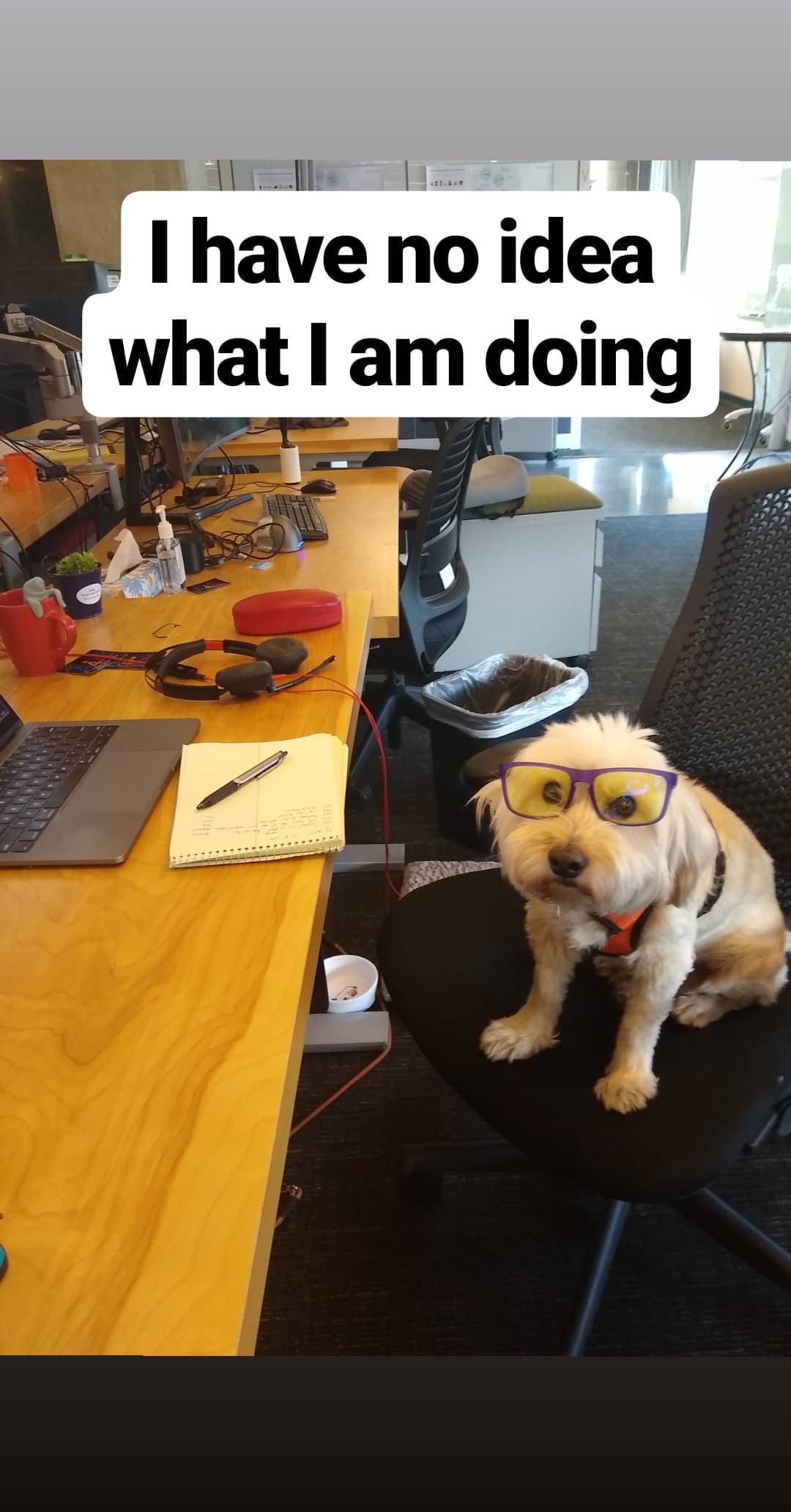 Stories from oct 2019