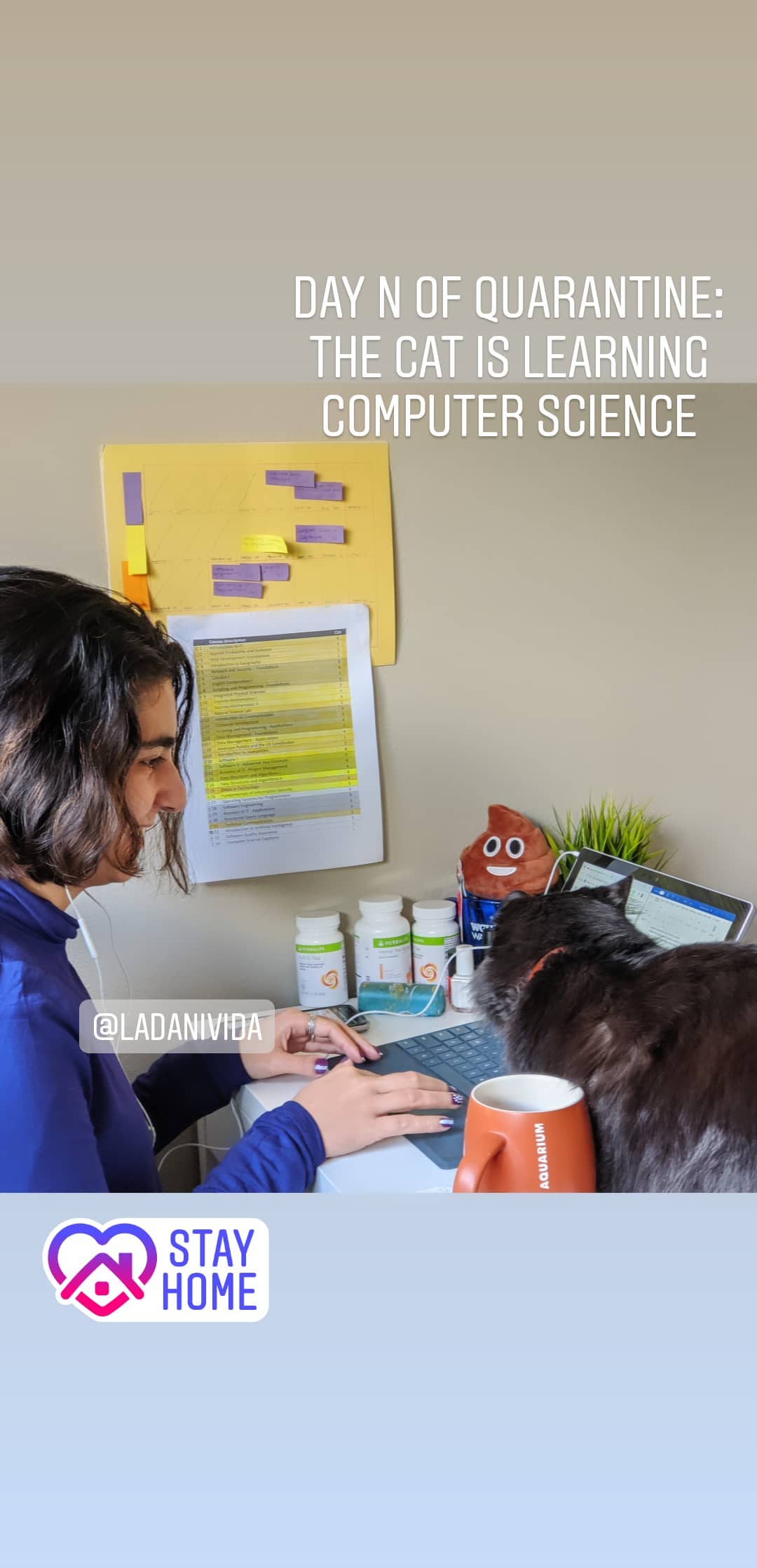 Stories from mar 2020
