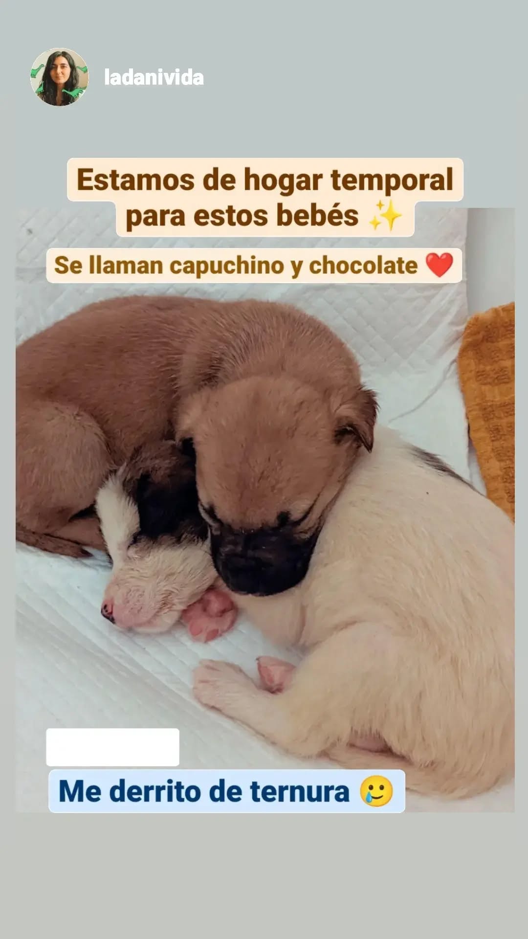 Stories from jul 2022