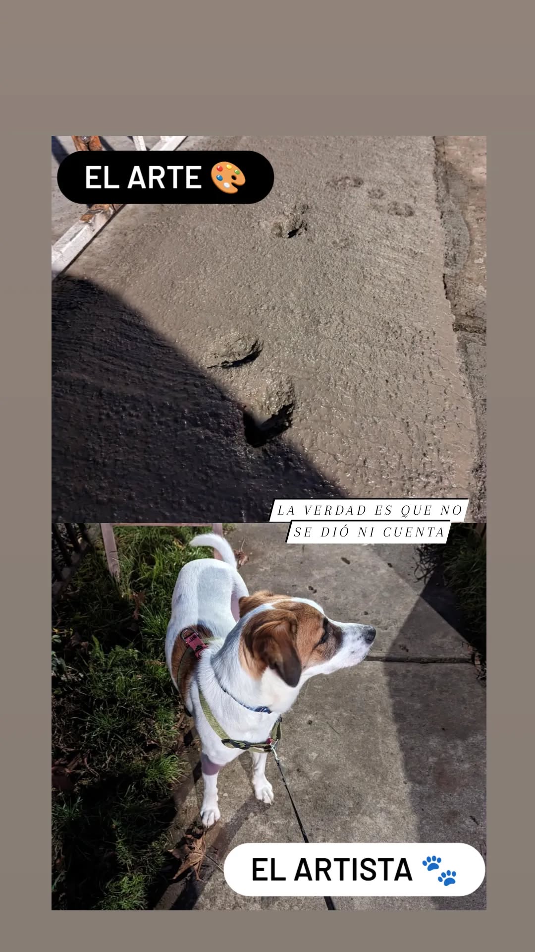 Stories from may 2023